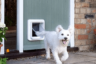 Find Durable Dog Access Doors for Your Home in Lewisville, TX