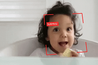 Read FER2013 / Face Expression Recognition dataset using Pytorch Torchvision