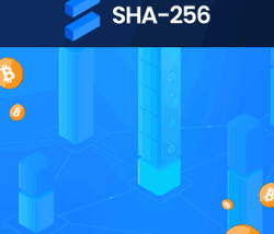 Sha256 Mining Company: