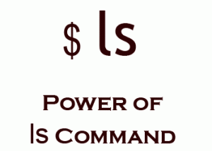 What happens when you types ls -l in the shell…