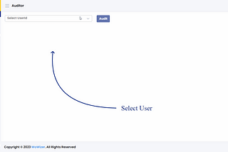 Wowizer Data Access Auditor Demo