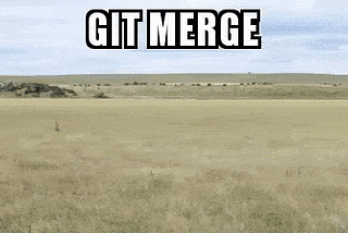 Collaboration with Git