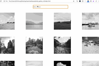 How to Filter Images in a Photo Gallery Using JavaScript/Jquery