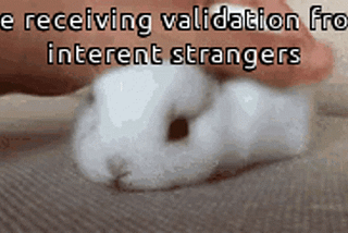 Gif of bunny being pet with text saying ‘Me receiving validation from internet strangers’