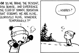Calvin trying to excite Hobbes about sledding down a big hill