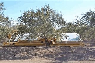 The parable of the low-hanging fruit and the tree shakers