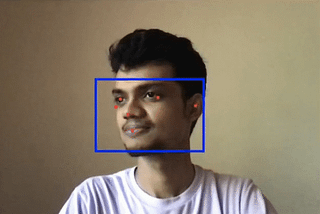 Face Detection in the Browser using TensorFlow.js