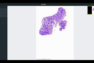 Spatial index를 이용한 웹 어플리케이션 최적화