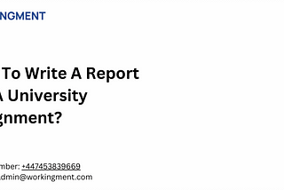 How To Write A Report For A University Assignment