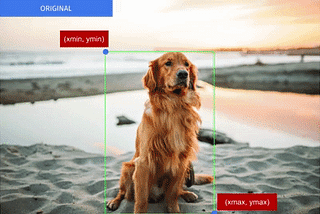 Implementing Single Shot Detector (SSD) in Keras: Part IV —  Data Augmentation