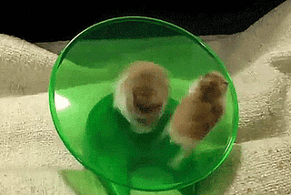 The hamster wheel of marketing