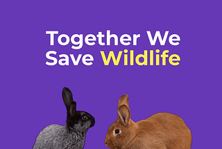 Together We Save Wildlife