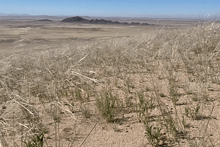 When the Sand Storms Arrive