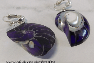 clip on earrings with nautilus shell
