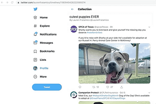 Creating a Twitter Collection via API