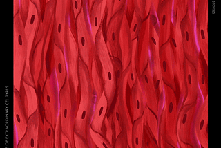 Smooth muscle cells