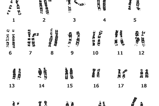 Search Algorithm Series: GA