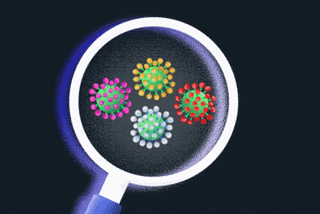 Some Good News: You Don’t Need to Worry About the Coronavirus Mutating
