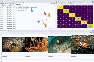 Fine-tuning image classification models from image search