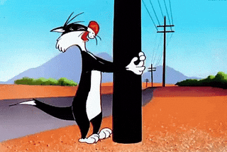 Cracking the FP&A Code for SMBs: the one-size-fits-all does not exi…
