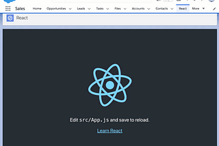 Using Create-React-App with lightning:container