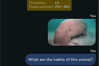 Complete Guide to Running LLMs on Android Devices: On-Device Inference with MediaPipe
