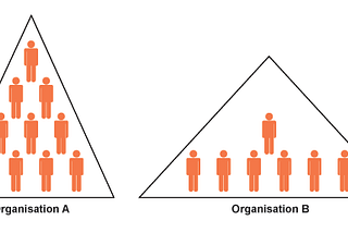 Organisation Structure: Flat or not…