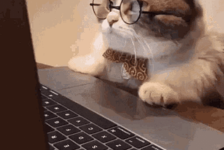 How To Open a New Kitty Tab in Current Working Directory