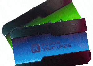 Ronins Ventures: An exclusive community of Cyber Ronins’ blockchain investors