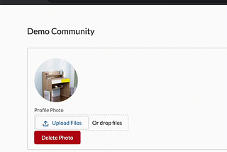 Creating a Custom Component to Update Experience Cloud Profile Photos