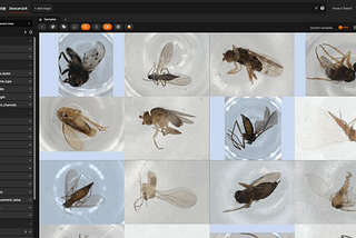 Beyond the Microscope: Diving into BIOSCAN-5M, a New Dataset for Insect Biodiversity Research