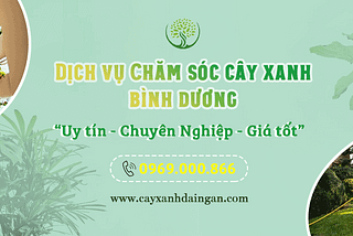 Dịch vụ chăm sóc cây xanh tại Bình Dương chuyên nghiệp, uy tín