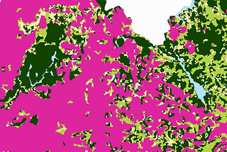 Bridging the Land-Use Gap in Carbon Inventories with Satellite Imagery