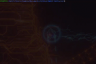 GSOC 2k18 with OWASP-Nettacker + Usage and Installation Guide