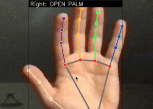 Real-time Hand Gesture Recognition