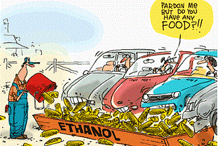 The Perfect Balance? Biofuels vs Food Prices.