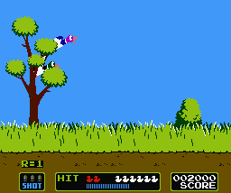 Duck Hunt https://media.giphy.com/media/Rs2iAnfEImXIs/giphy.gif