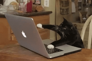 NucleiFuzzer = Nuclei + Paramspider