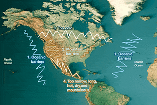 Never Bet Against America
