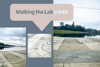 Walking the Labyrinth with Style Photo | Bird walking an urban labyrinth
