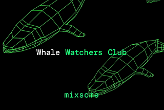 Whalecome! The launch of Whale Watchers Deck