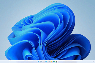 Windows 11 😲: the major, major go.!