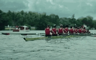 What makes a group of people behave like a team?