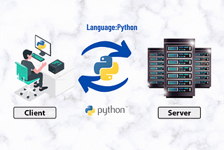 Socket Programming-Python