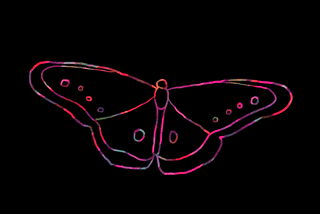 GIF of butterly flapping wings