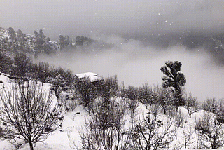 The Snowfall at Sankri & the surreal serenity