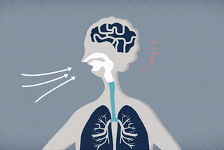 Lung Cancer Detection using Convolutional Neural Network on the Cainvas Platform