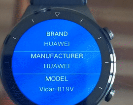 Obtaining Device Information in Harmony OS Lite wearable