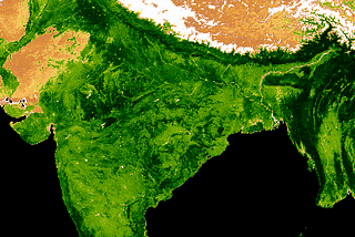 Exploring Seasonal Variations in Vegetation Cover around Indian Subcontinent