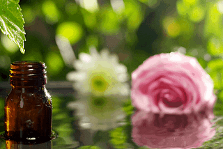Scented Sanctuary: Essential Oils to Combat the Winter Blues